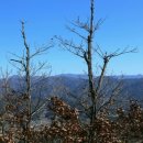 비봉산 약수터 화장실 이미지