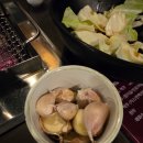 [범계 맛집] 양들의 침묵 : 양갈비+파라타 조합 최고! (양꼬치, 연태고량주까지)