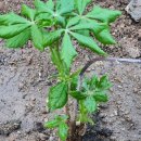 가야농약사 이미지