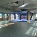 YS복싱클럽 이미지