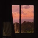 나산농장 | 저번부터 오늘까지