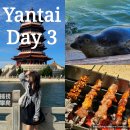 안서농장 | 연태 옌타이 3박4일 여행 Day3 - 봉래 펑라이 (봉래각 > 팔선과해 풍경구 > 씬디꼬치 > 금사탄해변 노을...