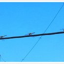 이천농원 이미지