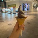 다싸다안경 100 송파본점 | 21w-24w 일상 조각 모아보기