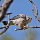 뚝섬한강공원-86 이미지