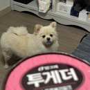 사암로172번길 네이버블로그