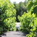 원창농장 이미지