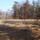 전주류씨 묘역 이미지