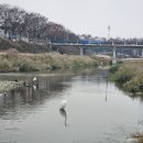 만경대 암각서 | 전북 천리길–천년 전주 마실길