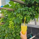 고망고 종로2가점 | ✨ 고망고 종로 2가점: 1리터 망고로 든든! 인사동 나들이 필수 코스! 🥭