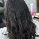 기분전환헤어샵 - 전주시 완산구 | 기분전환헤어샵