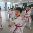 타이거킥스 태권도장 이미지