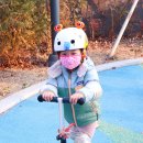 미니돌 | 마이크로 미니 투고 아기 킥보드 두 돌부터 5세까지 사용 후기