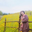 37번가 한옥 이미지