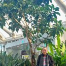 양덕동582 이미지