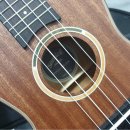 우쿠렐라 이미지