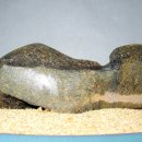 마음이머무는곳 이미지