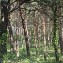 강릉원주대학교박물관 이미지