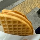 느낌표수학학원 | 미리 봄(春)