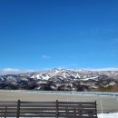 2023-0002 | [해외] 나고야 3박4일 일정 총정리｜버스투어 포함 자유여행 코스 + 맛집 정리