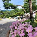 괴산군칠성면외사보건진료소 | 괴산댐 산막이 옛길