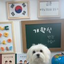 까까멍멍 이미지
