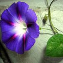 우창산업 이미지