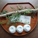 돔그라미 | [서귀포 펜션] 표선 숙소 추천 돔그라미 펜션 내손내산 솔직후기!!