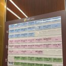 농성제일식당 | 광주 농성역 철판요리 오마카세 '테판야끼햄' 기념일에 가기 좋은 맛집 내돈내산 솔직후기