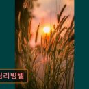 드림리빙텔 - 군포시 산본로323번길 26-6 | 서울 노원구 고시원 고시텔 드림리빙텔 편안한 공간과 서비스