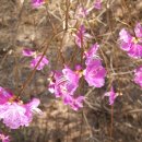 금당어린이집 이미지