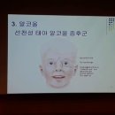 고려대학교 의과대학 - 8394 | 고려대학교 의과대학