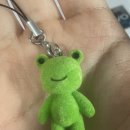 알리 익스프레스 후기 / 개구리 참 / 아이패드 케이스 / 블랙 캐미솔 / 맥세이프 지갑 / 맥세이프...
