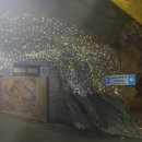 서노게임랜드 | 충주 가볼만한곳 활옥동굴 다녀온후기