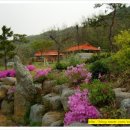 자연나라 이미지