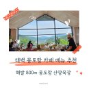 브라운베이글-태백점 | [태백 카페] 해발 800m 통유리 뷰 미쳤다! ☁️ '몽토랑 산양목장 카페' 솔직 후기 (메뉴 추천)
