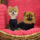 엘리하우스 이미지