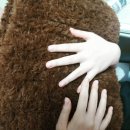 포근포근 손뜨개 이미지