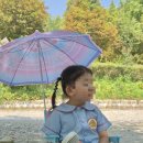 수덕 캠핑장 | 예산 상설시장부터 예산 수덕 캠핑장까지 예산 여행 후기
