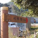 보문산오거리 이미지