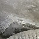 태영라지에타