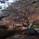 이황 주유소 이미지