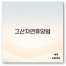 고산자연휴양림 캐라반 끝 | 고산자연휴양림 예약부터 캠핑 카라반 숲속의집까지 2025년도 즐기기 완벽 정리