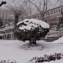 우장산근린공원 이미지