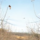 바리실마을 이미지