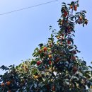 힐당구장 이미지