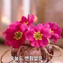 토비야님~ 이미지