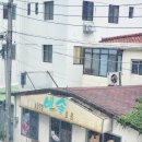 장보리마트 이미지