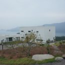 가고파그집 이미지