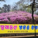 효성안양공장 앞 이미지